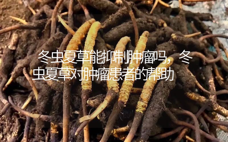 冬蟲夏草能抑制腫瘤嗎？冬蟲夏草對腫瘤患者的幫助