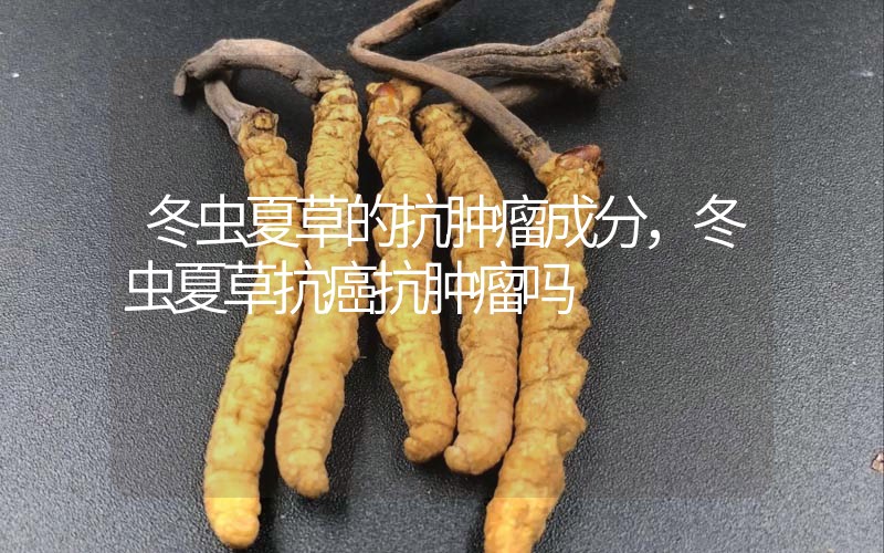 冬蟲夏草的抗腫瘤成分，冬蟲夏草抗癌抗腫瘤嗎？