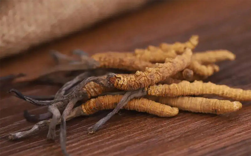 不同產(chǎn)地冬蟲夏草價格差別大嗎？