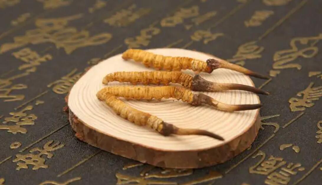 哪個(gè)產(chǎn)地的冬蟲(chóng)夏草營(yíng)養(yǎng)價(jià)值高