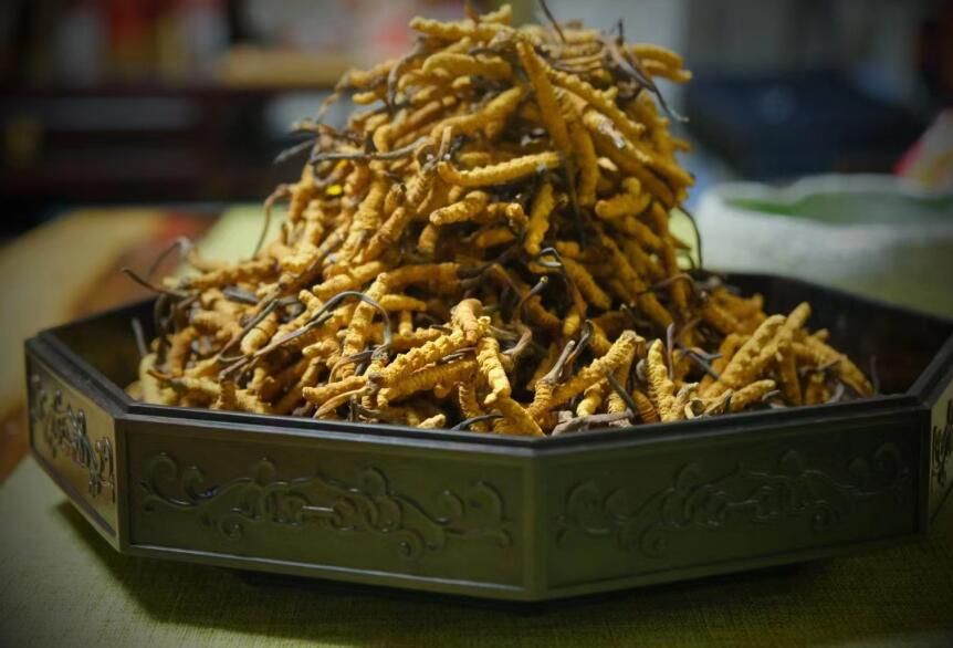 <a href=http://www.cw298.com/ target=_blank class=infotextkey>冬蟲夏草</a>