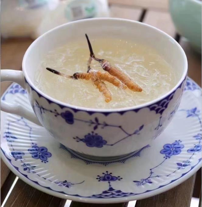 養(yǎng)生小竅門：冬蟲夏草燉什么好喝？