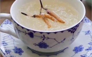 冬蟲夏草燉燕窩怎么做？