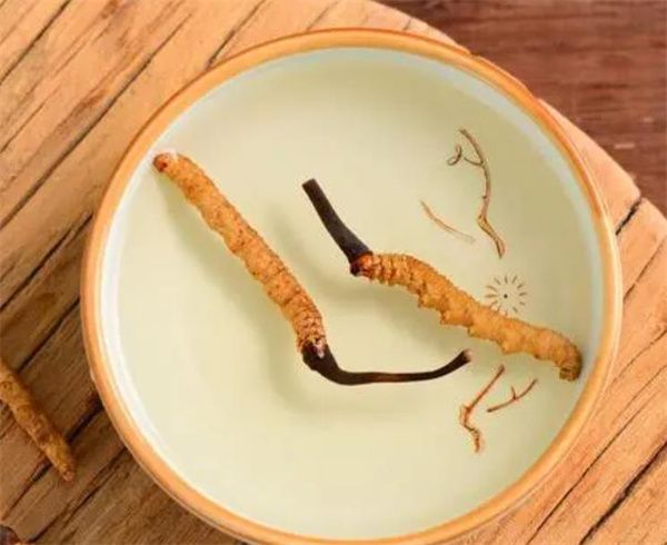 老人怎樣服用冬蟲(chóng)夏草？