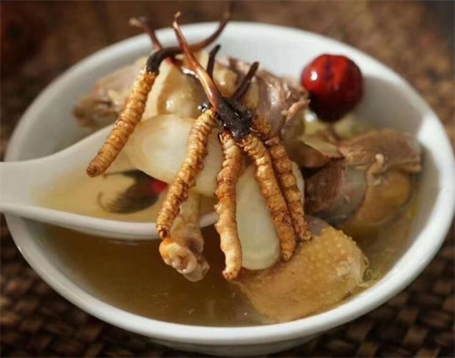 冬蟲(chóng)夏草可以燉海鯽魚(yú)嗎？