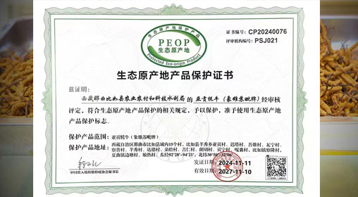 德耀娜秀 奮進(jìn)比如║熱烈祝賀！比如縣“亞貢牦?！比脒x農(nóng)業(yè)農(nóng)村部全國名特優(yōu)新農(nóng)產(chǎn)品名錄