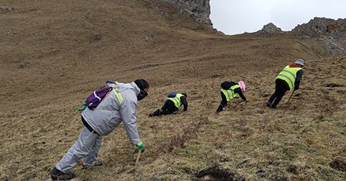 <a href=http://www.cw298.com/sdph/zf/ target=_blank class=infotextkey>珍峰冬蟲夏草</a>:源自世界屋脊的養(yǎng)生瑰寶