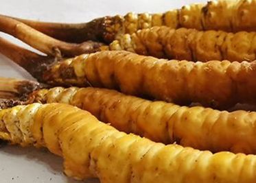 <a href=http://www.cw298.com/sdph/zf/ target=_blank class=infotextkey>珍峰冬蟲夏草</a>主要的銷售模式