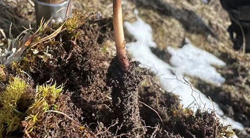 <a href=http://www.cw298.com/xinxian/ target=_blank class=infotextkey>新<a href=http://www.cw298.com/xinxian/ target=_blank class=infotextkey>鮮冬蟲夏草</a></a>存放