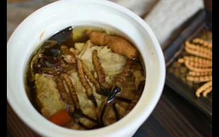 冬蟲夏草怎么食用？解鎖滋補養(yǎng)生的正確打開方式