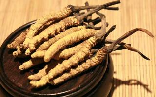 冬蟲夏草的價(jià)格一克：為何如此昂貴？