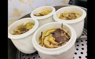 冬蟲夏草燉什么最好？5種黃金搭配讓滋補效果翻倍
