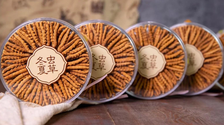 哪里能買到正宗的蟲(chóng)草