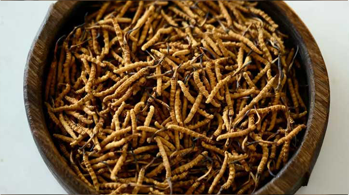 <a href=http://www.cw298.com/ target=_blank class=infotextkey>冬蟲(chóng)夏草</a>真?zhèn)伪鎰e全攻略：五招識(shí)破 “李鬼”