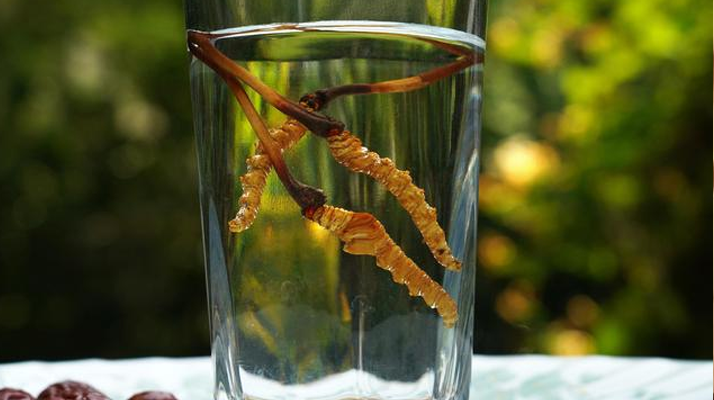 <a href=http://www.cw298.com/xinxian/ target=_blank class=infotextkey>鮮冬蟲夏草</a>怎么泡好吃？這些配方讓滋補(bǔ)更有滋味