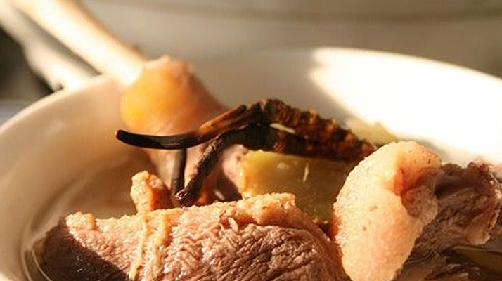 冬蟲夏草燉鮮鮑湯的功效