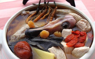 吃鮮冬蟲夏草會過敏嗎？