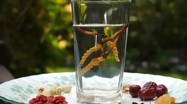 冬蟲夏草鮮品泡酒：養(yǎng)生佳釀還是健康隱患？