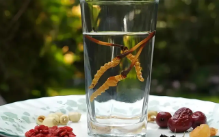 冬蟲夏草鮮品泡酒：養(yǎng)生佳釀還是健康隱患？