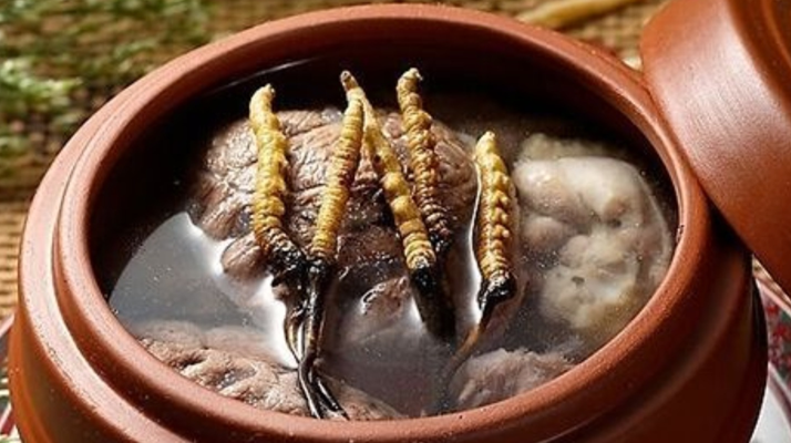 鮮冬蟲夏草吃多會上火嗎？一文解析真相