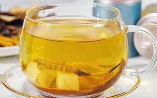 冬蟲夏草可以直接泡水喝嗎？科學(xué)解析與正確方法