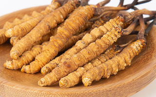 冬蟲(chóng)夏草產(chǎn)品多少錢