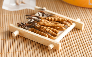 冬蟲夏草一般多少錢一斤？價格背后的價值解析