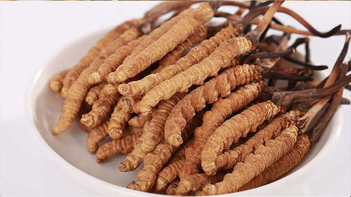 冬蟲夏草燉水鴨，搭配這些食材更滋補(bǔ)