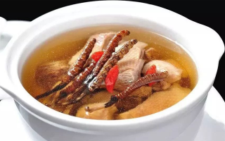 冬蟲(chóng)夏草燉排骨放幾根