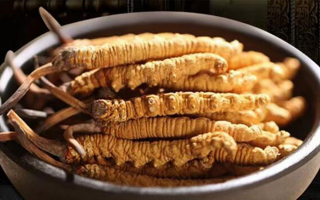 冬蟲(chóng)夏草怎么分辨真假