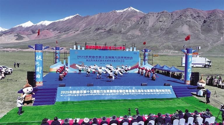 雪域高原迎盛會 蟲草之鄉(xiāng)展新顏——那曲市第十五屆魅力蟲草展銷會暨巴青縣第五屆冬蟲夏草采集體驗活動盛大開幕