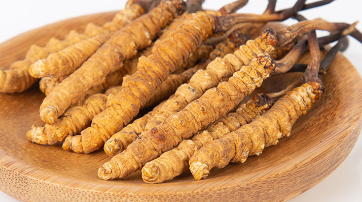 在西藏，冬蟲(chóng)夏草真的觸手可得？