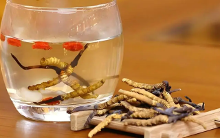 冬蟲(chóng)夏草與枸杞能一起泡酒嗎？科學(xué)搭配與飲用指南