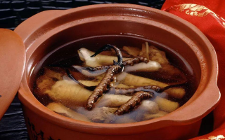 糖尿病可服用冬蟲(chóng)夏草嗎？科學(xué)解析其調(diào)理價(jià)值與注意事項(xiàng)