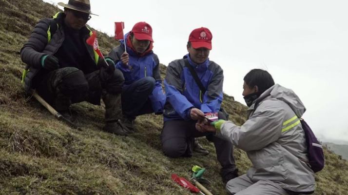 冬蟲夏草：把握最佳采摘季，守護(hù)自然饋贈(zèng)