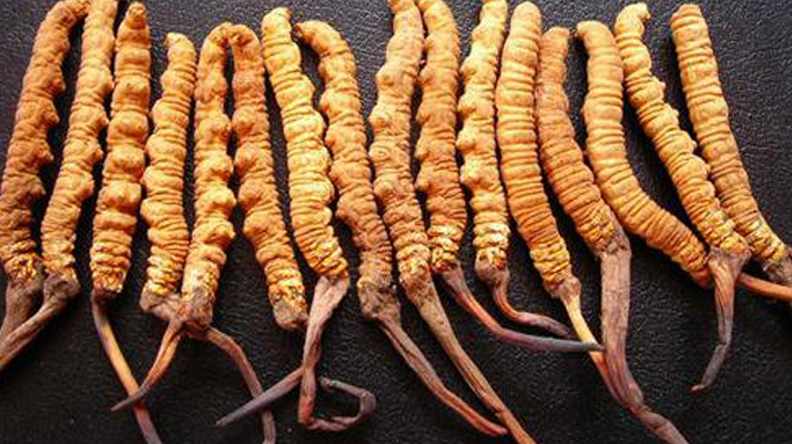 同仁堂<a href=http://www.cw298.com/jiage/ target=_blank class=infotextkey>冬蟲夏草價(jià)格</a>解析：品質(zhì)、規(guī)格與市場(chǎng)的交織