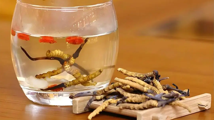 長期喝冬蟲夏草泡水好嗎？科學(xué)分析與飲用指南