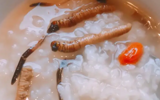 冬蟲夏草適合哪些人群？精準(zhǔn)匹配與禁忌提醒