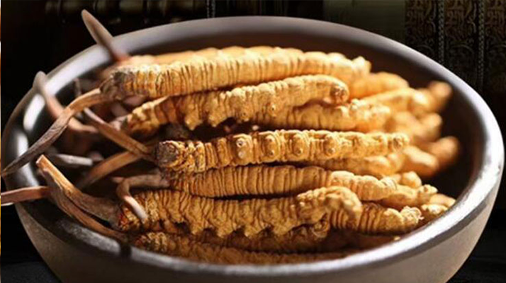 冬蟲夏草效果好不好用？科學(xué)與實(shí)踐視角下的全面解析