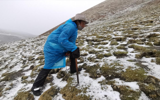 西藏挖冬蟲(chóng)夏草在什么時(shí)候？產(chǎn)區(qū)與時(shí)間全攻略