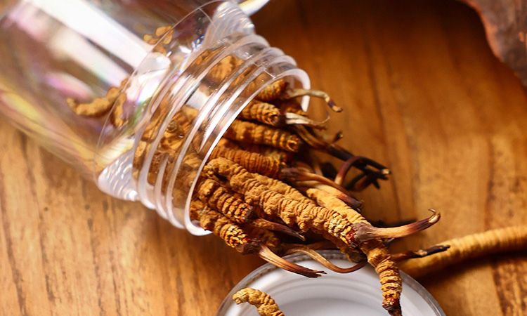 <a href=http://www.cw298.com/jiage/ target=_blank class=infotextkey>冬蟲夏草多少錢</a>一條 