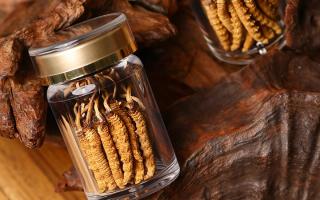 鮮冬蟲夏草泡水后怎么保存？3 種場景保存方法 + 避坑指南