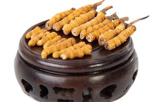 冬蟲夏草的頭期斷草好嗎？有沒有營養(yǎng)價(jià)值？