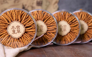 冬蟲(chóng)夏草價(jià)格暴跌真相：藏農(nóng)神草告訴你，正宗那曲蟲(chóng)草為何“價(jià)穩(wěn)質(zhì)優(yōu)”-西藏那曲蟲(chóng)草網(wǎng)